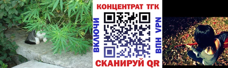 Купить где  Красногорск  ТГК Wax 